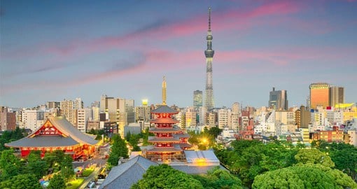 Japan's capital and the world's most populous metropolis, Tokyo was a small castle town until 1868