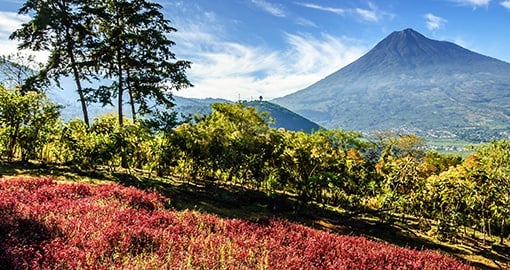 Agua Volcano, Guatemala