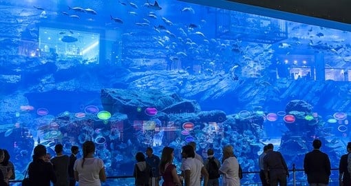 Aquarium in Dubai mall