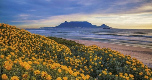 Known as the “Mother City”, Cape Town was established as a provisioning station for the Dutch East India Company