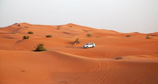 Experience the thrilling adventure of riding the sand dunes on a magical Dubai desert safari