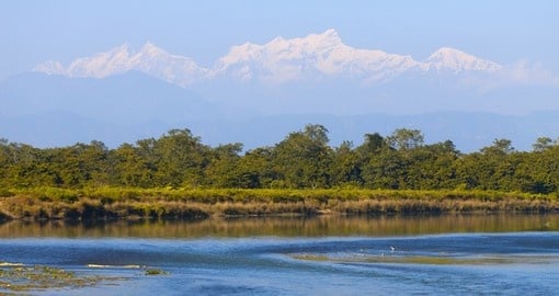 Visit the UNESCO World Heritage site known as Chitwan National Park on one of your Nepal Tours