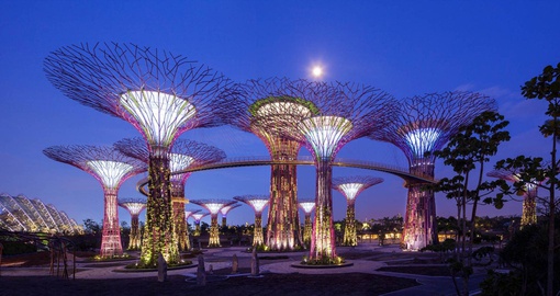 Explore the wonderfully built Singapore Gardens on your Trips to Singapore