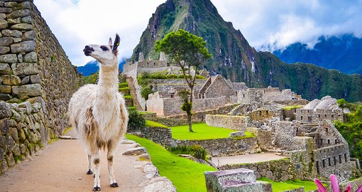 Explore the ancient Incan Empire of Machu Picchu