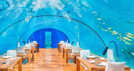 Dine five meters below the surface of the ocean, in the world’s first undersea restaurant