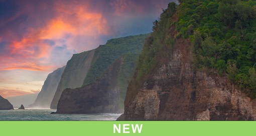 Explore lush forests and black sand beaches in the depths of the New Pololu Valley