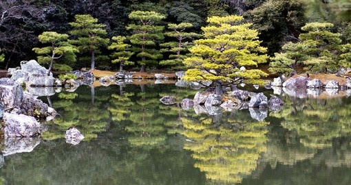 Japanese pruned pine trees at Rokuon-ji Temple