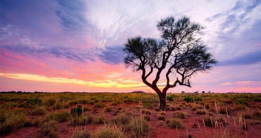 Explore a selection of the best experiences and activities across Australia