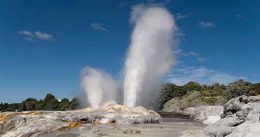 Pohutu and Prince of Wales geysers are the largest in the southern hemisphere