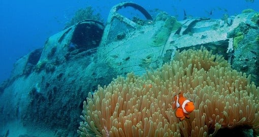 WWII Japanese airplane wreck