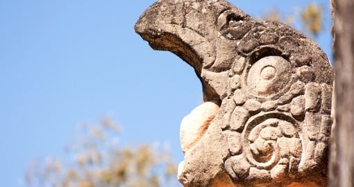 Carved macaw head in the ancient Mayan ruins of Copan