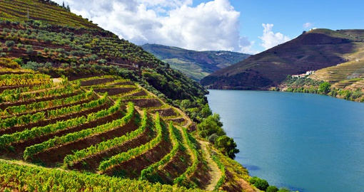 The beautiful Douro River, Portugal's River of Gold.