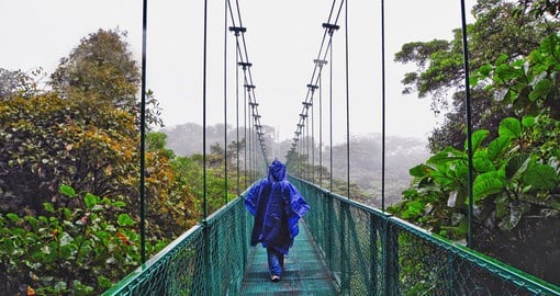 Become one with nature as stroll through Costa Rica's unique rainforests