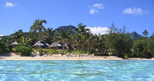 Palm Grove welcomes you with its gorgeous beaches on your Cook Island vacations.