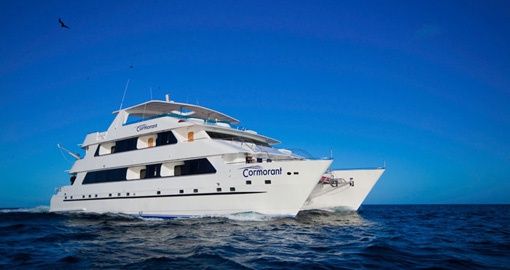 Vessel Cormorant on your next Galapagos Cruise.