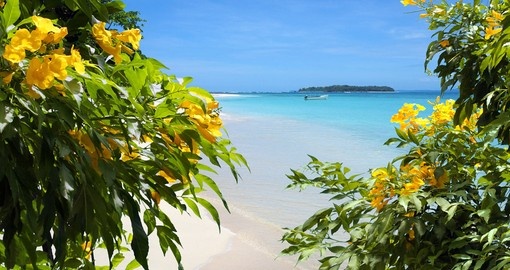 Flowers on sandy Caribbean beach