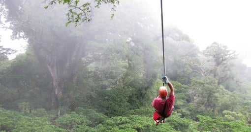 Experience the thrill as you zipline through the cloudy rainforest