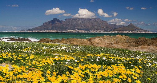 One of South Africa's three capitals, Cape Town enjoys a stunning natural setting.
