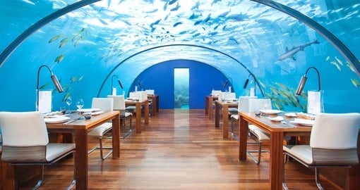 Enjoy the experience of eating under water surrounded by different fish species on your Trip to Maldives