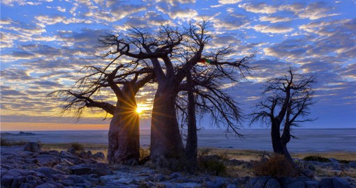 With an area of 3 900 sq. kms, Makgadikgadi Pans is one of the largest salt flats in the world