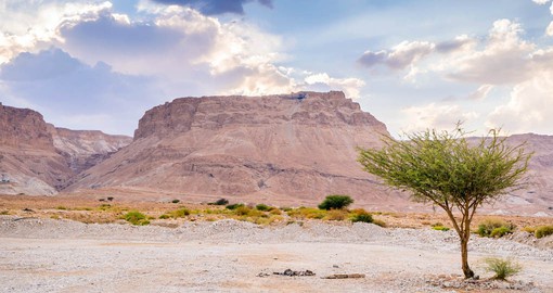 Masada, an ancient fortress, holds a strategic location overlooking the Dead Sea