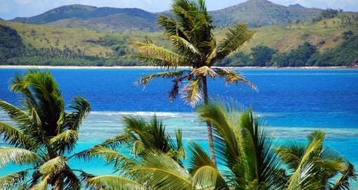 Beautiful Fijian Palm trees on the beach makes you want to stay here forever.