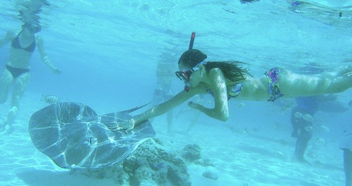Snorkeling in Moorea