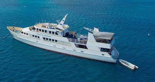 You will transfer to Trinity Wharf and meet the crew of the Spirit of Freedom on your next trip