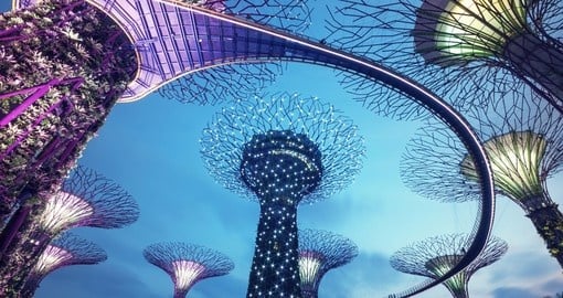 Supertree grove in the Garden by the Bay