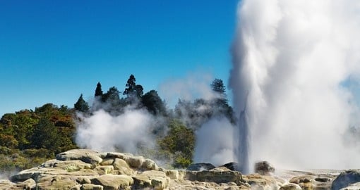 Pohutu geyser is a great photo opportunity while on your New Zealand vacation.