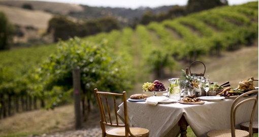 Travel to one of the many family owned vineyards in the McLaren Vale and Clare Valley during your Trip to Australia.