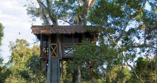 Inkaterra Canopy Walkway & Tree House are the perfect lookout for toucans, woodpeckers and trogons