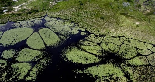 Seeing the delta from the air is a great photo opportunity on your Okavango Delta safari  