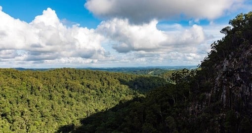 Spend a day in Nightcap National Park on your Australia Vacation