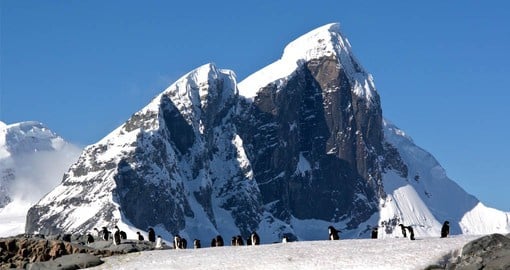 The beautiful Antarctic Peninsula is a major breeding ground for seabirds, seals and penguins