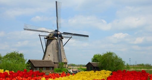 Dutch windmill and tulips, Holland