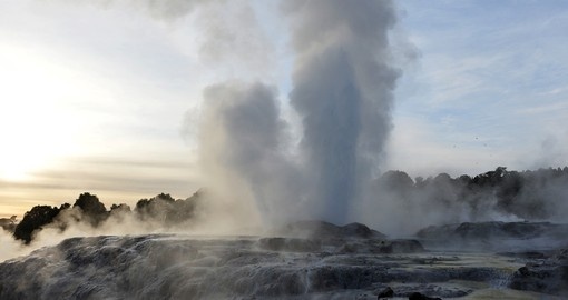 Take an eruption at the the Te Puia Geyser on your New Zealand vacation
