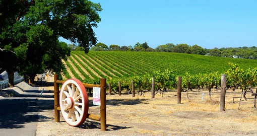 Home to more than 150 wineries, The Barossa Valley is one of Australia's great wine regions