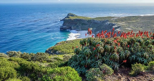 The Cape Peninsula offers some of Africa's most breathtaking coastal scenery