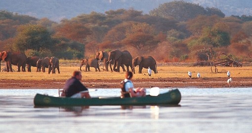 Canoe safari in Botswana's Okavango Delta