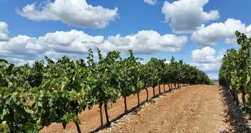 La Rioja is home to over 500 wineries