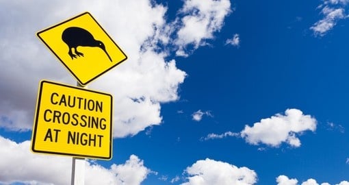 Road sign in New Zealand