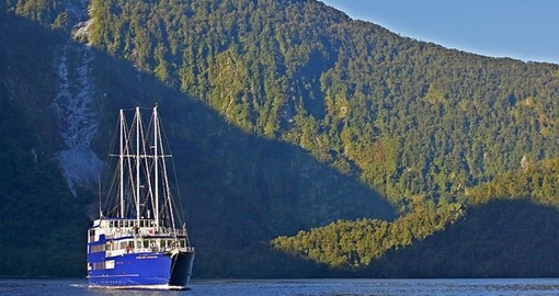 Fiordland Navigator Cruise