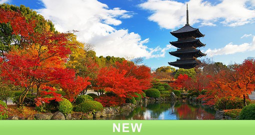Visit Kyoto's temples bedecked in spectacular autumn foliage