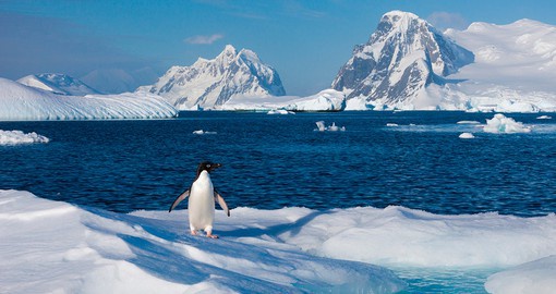 Enjoy scenic views during your voyage into Antarctica