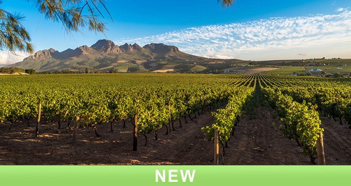 Discover the beautiful Cape Winelands region