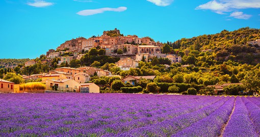 Walk through the lovely lavender fields of Provence for an unforgettable excursion