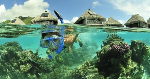 Snorkel in the warm south pacific waters on your Tahiti vacation