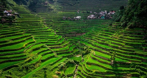 Cross the layered rice terraces of Luzon Island