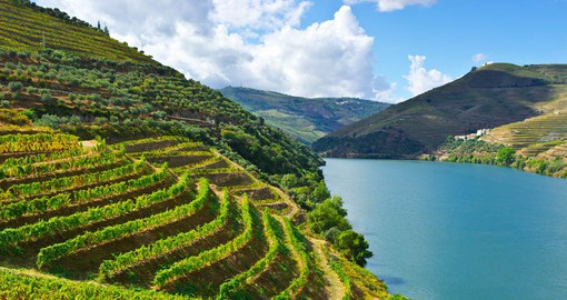 One of the highlights of a Portugal Vacation is a visit to the Douro Valley